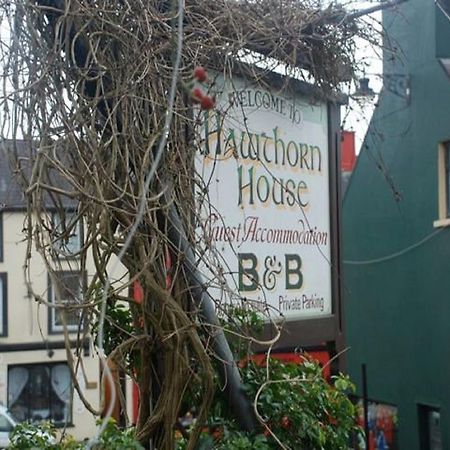 Hawthorn House Guesthouse Кенмеър Екстериор снимка